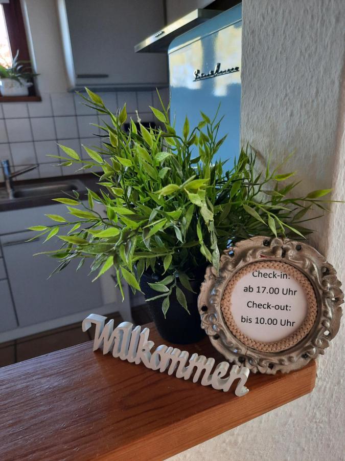 Schoene Einzimmer Wohnung Zwischen Bodensee Und Allgaeu Neukirch  Exterior foto